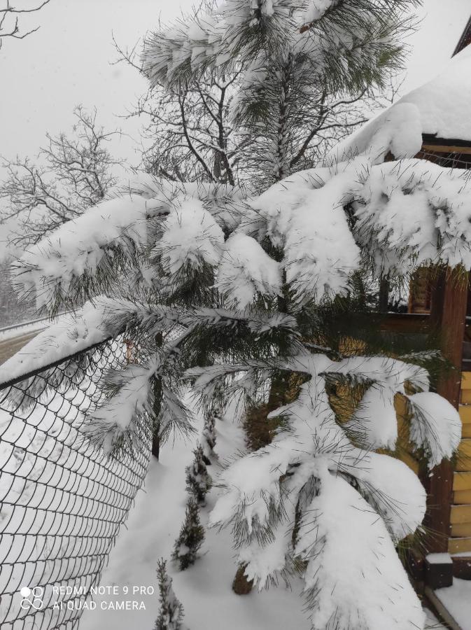 Nad Cheremoshem Lodge *